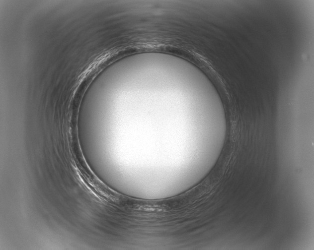 X0000086310443200703301000