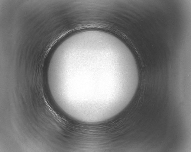 X0000086310444200703301000