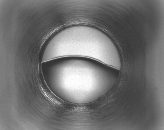 X0000086310446200703301000