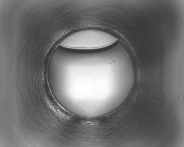 X0000086310447200703301000