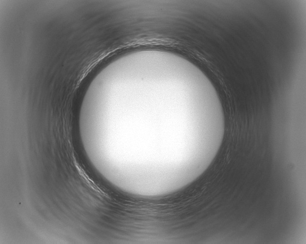 X0000086310448200703301000