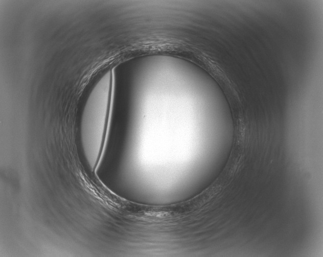 X0000086310450200703301001
