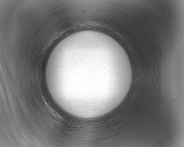X0000086310452200703301001