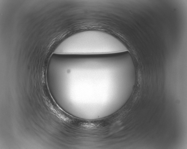 X0000086310453200703301001