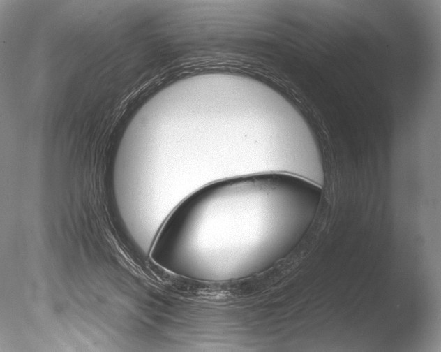X0000086310454200703301001