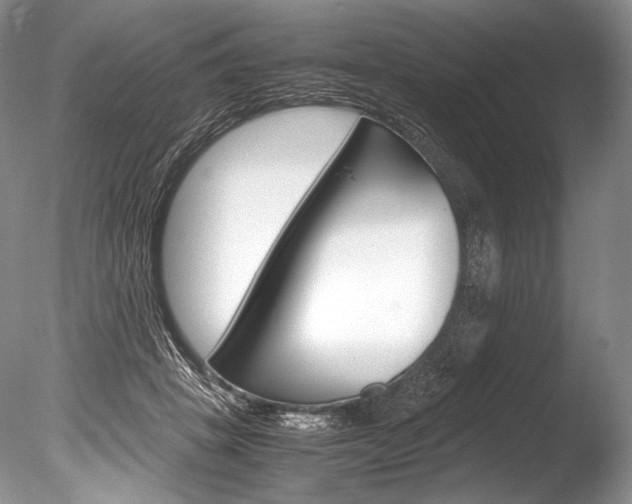 X0000086310457200703301001