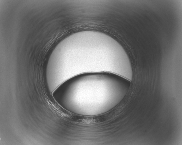 X0000086310458200703301001