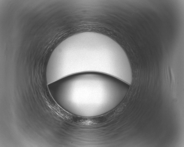 X0000086310460200703301001