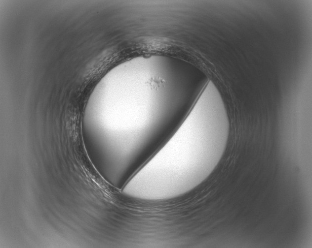 X0000086310462200703301001