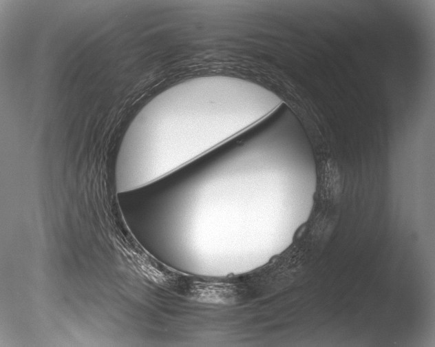 X0000086310463200703301001