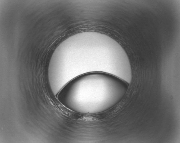 X0000086310464200703301001