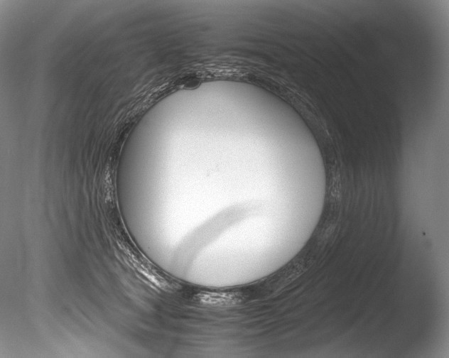 X0000086310465200703301001
