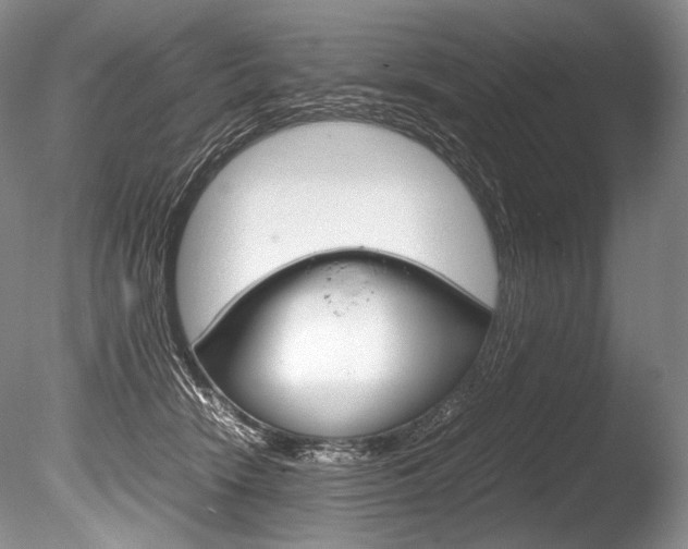 X0000086310466200703301001