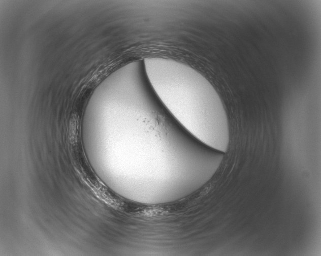 X0000086310468200703301001