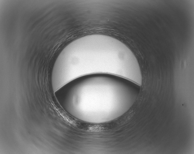 X0000086310470200703301001