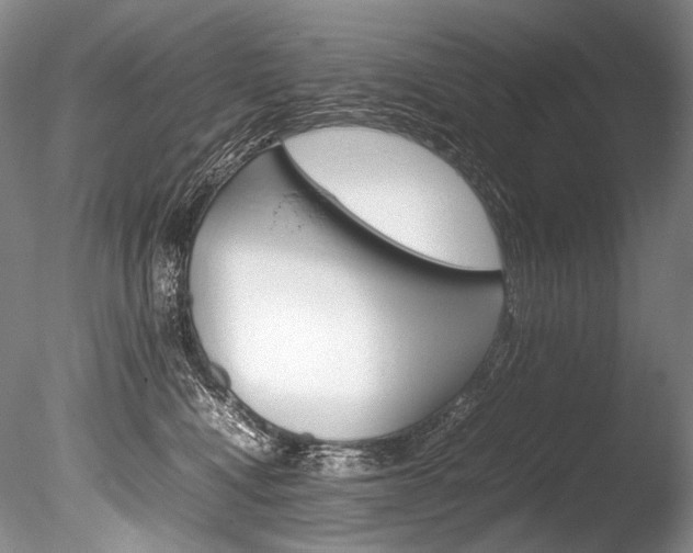 X0000086310472200703301001