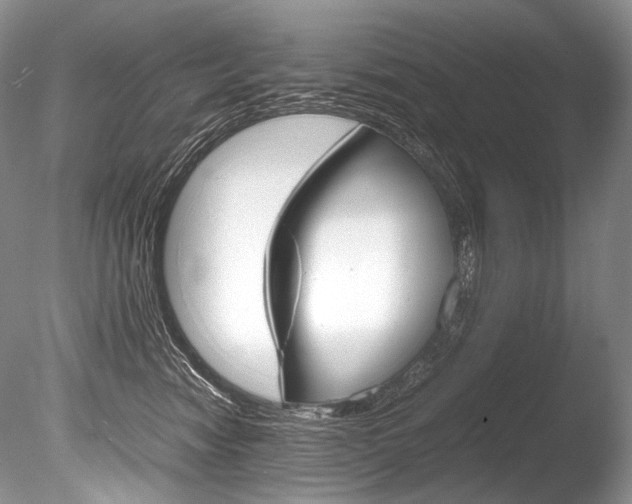 X0000086310474200703301001
