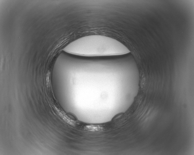 X0000086310477200703301001
