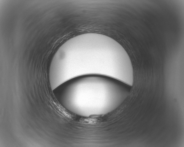 X0000086310478200703301001