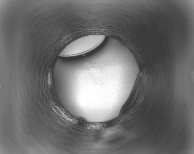 X0000086310479200703301001