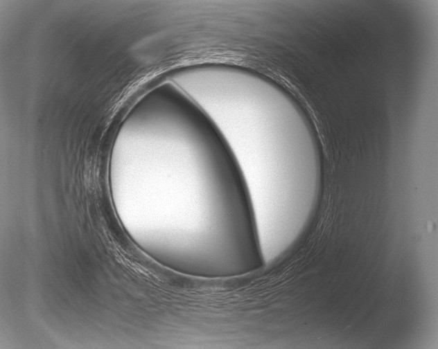 X0000086310483200703301000