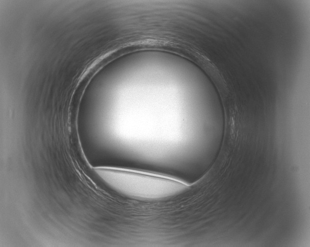 X0000086310484200703301000