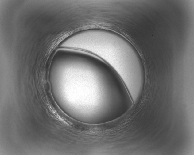 X0000086310485200703301000