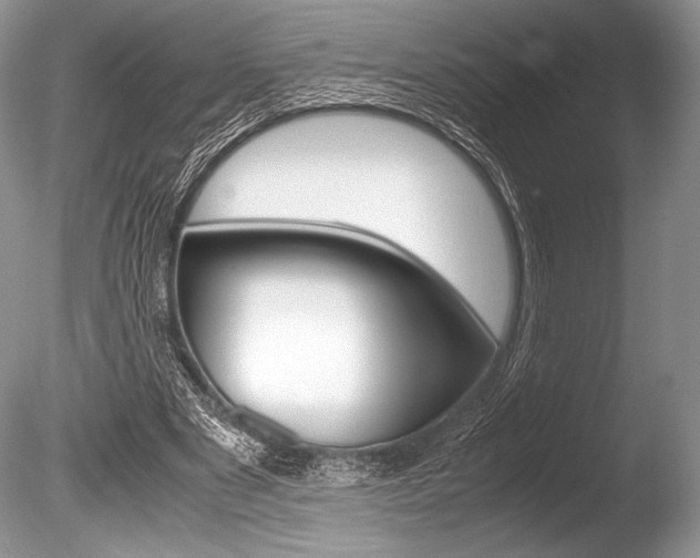 X0000086310489200703301000
