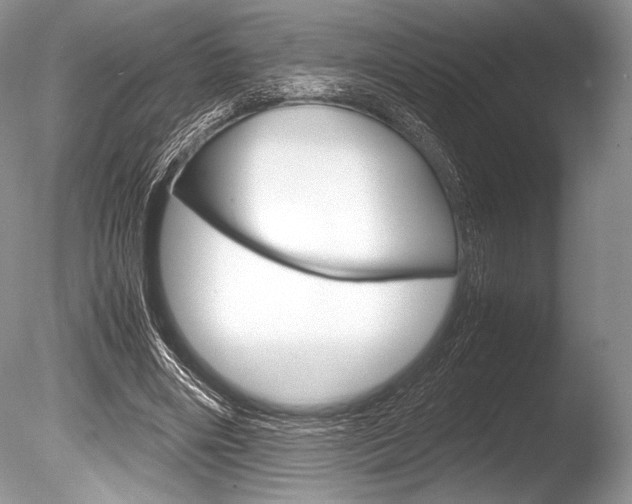 X0000086310490200703301000