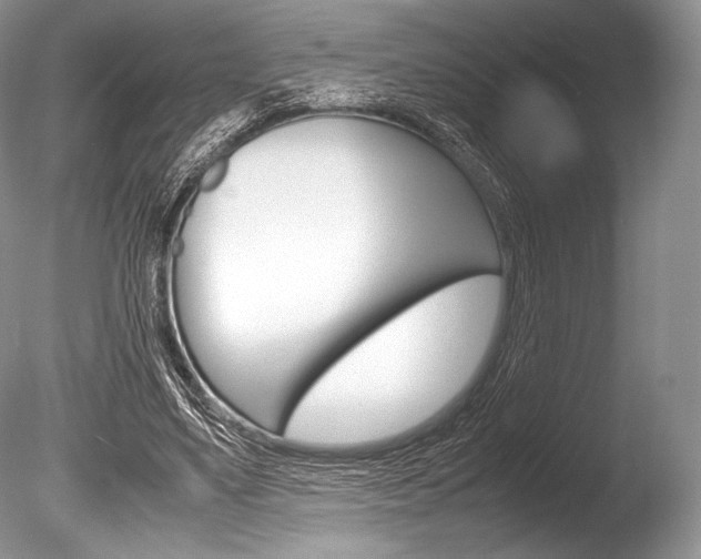 X0000086310491200703301000