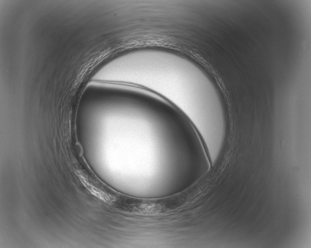 X0000086310493200703301000