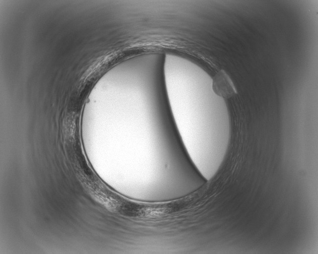 X0000086310495200703301000