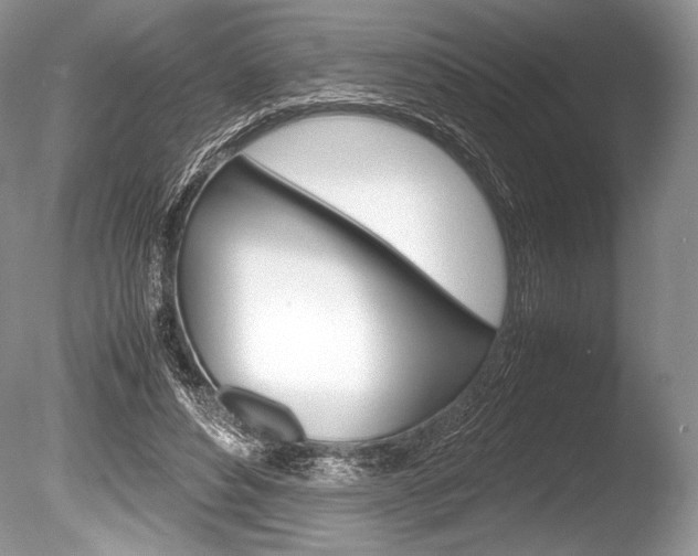 X0000086310496200703301000