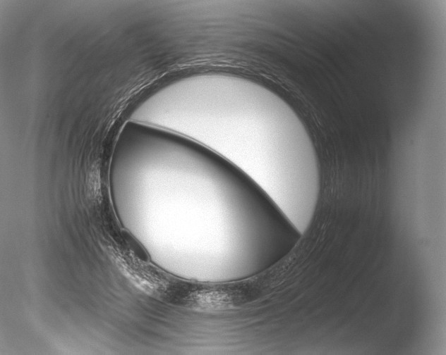 X0000086310500200703301000