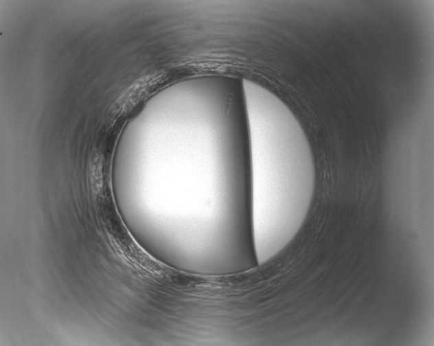 X0000086310504200703301000