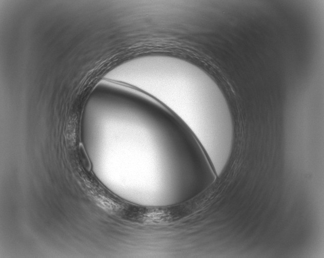 X0000086310505200703301000