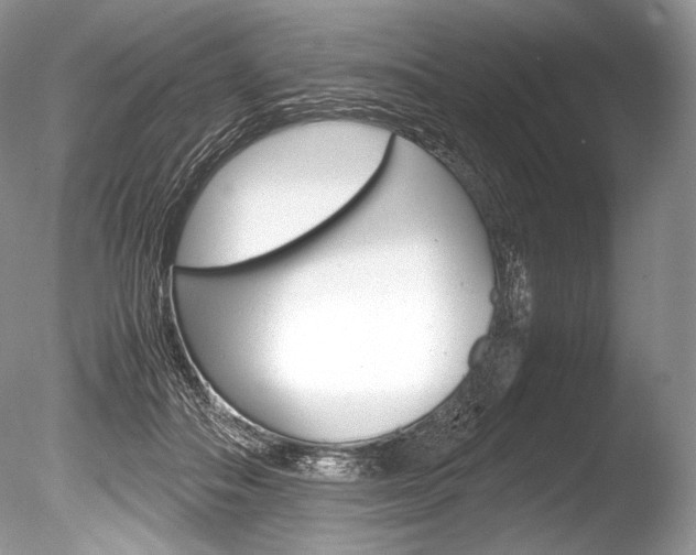 X0000086310506200703301000