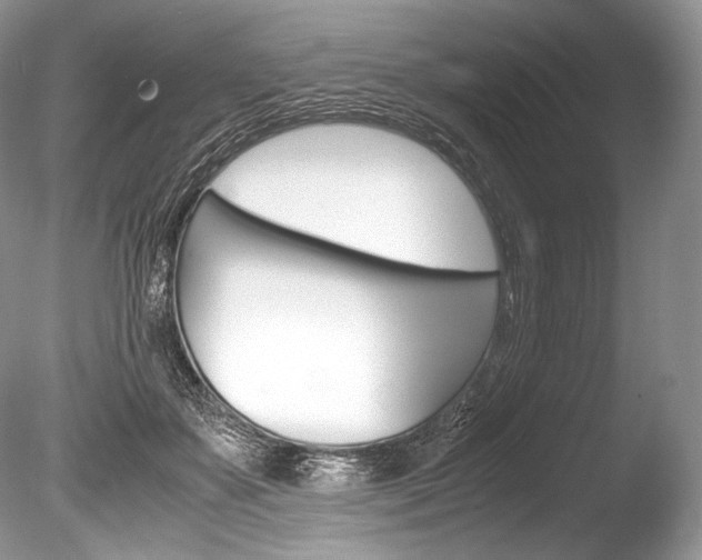 X0000086310507200703301000
