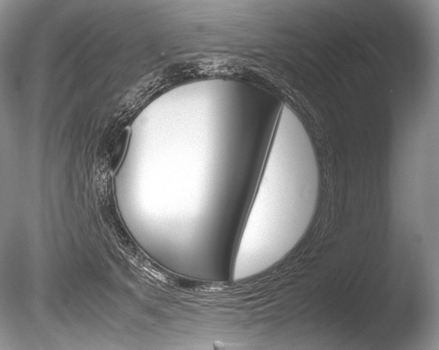 X0000086310513200703301000