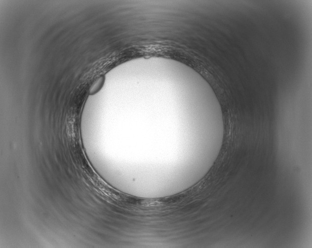 X0000086310514200703301000