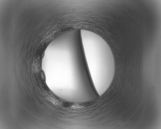 X0000086310515200703301000