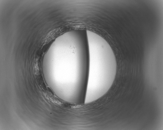 X0000086310516200703301000