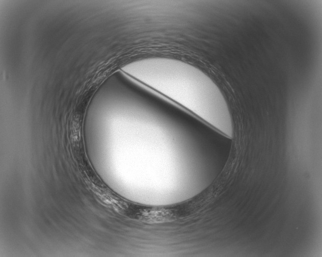 X0000086310517200703301000