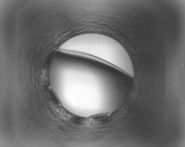 X0000086310521200703300959