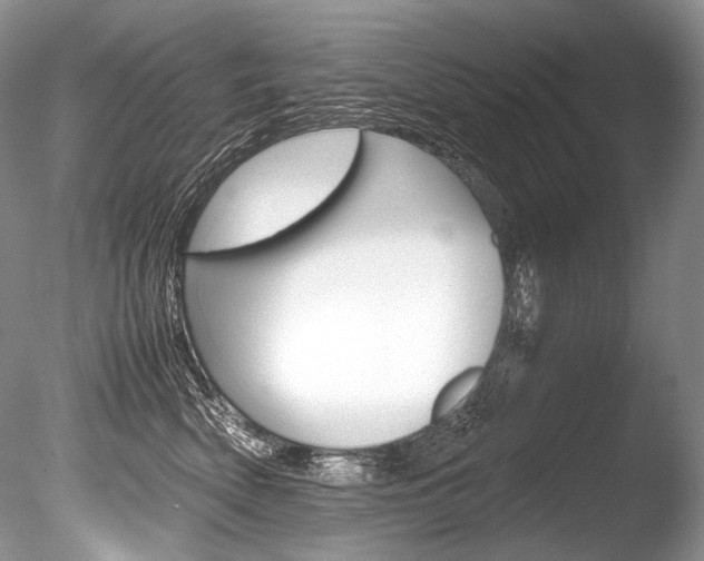 X0000086310522200703300959