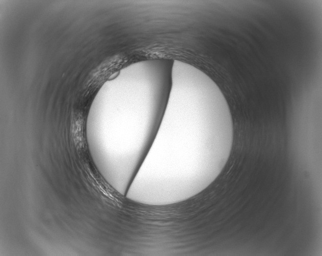 X0000086310526200703300959