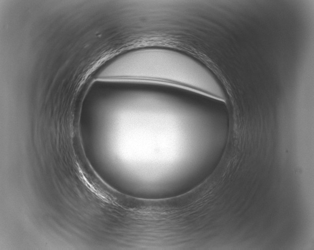 X0000086310530200703300958