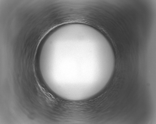 X0000086310532200703300959