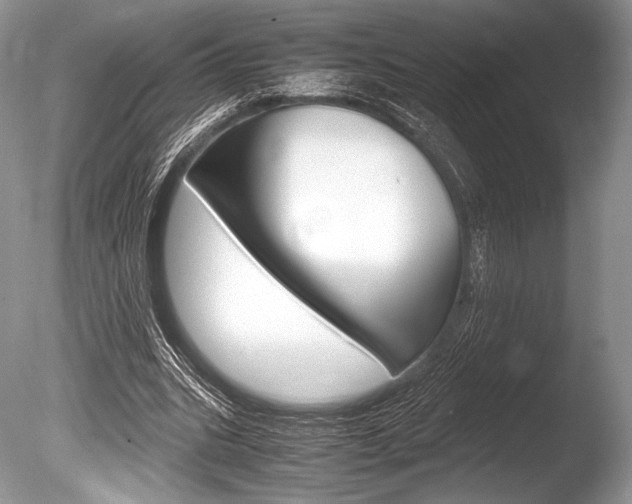 X0000086310535200703300959