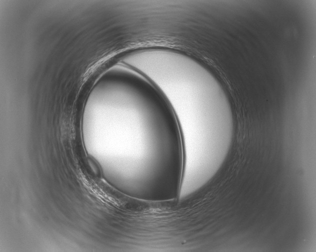X0000086310536200703300959